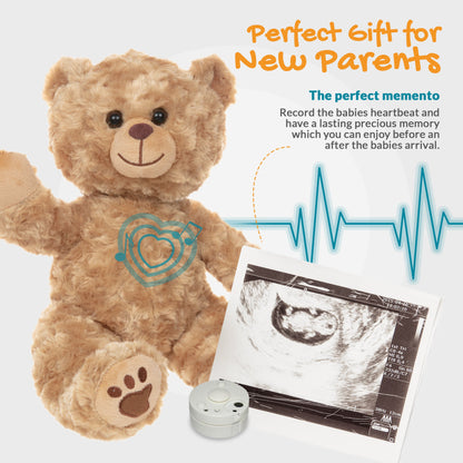 Barney The Golden Bear - Recordable