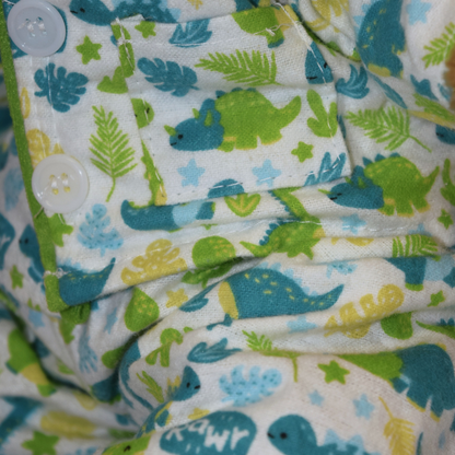 Dino PJ Outfit