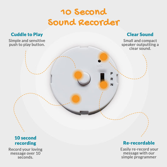 Teddy Bear Voice Recorder